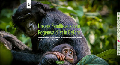 Das prägnante Bild weckt sofort unsere Aufmerksamkeit, und der Text ergänzt die Bildaussage (wwf.de/bonobos-retten).